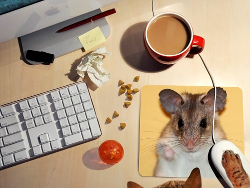 akcesoria komputerowe zebrane na biurku - podkładka pod myszkę z myszką, czerwony kubek z mleczną kawą, klawiatura monitor i kot